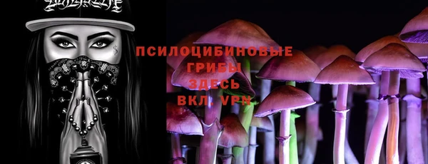 шишки Алексин