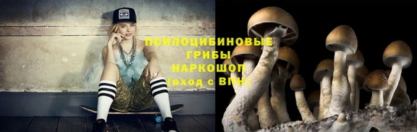 бошки Вязьма