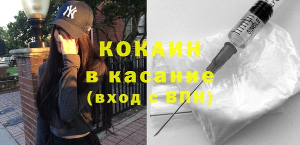 шишки Алексин