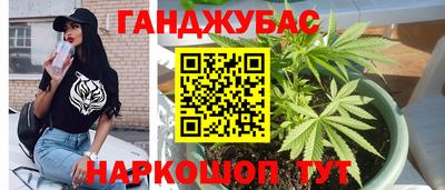 ГАЛЛЮЦИНОГЕННЫЕ ГРИБЫ Камышлов