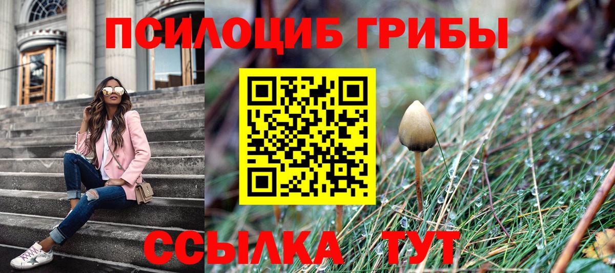 Псилоцибиновые грибы Cubensis Иркутск