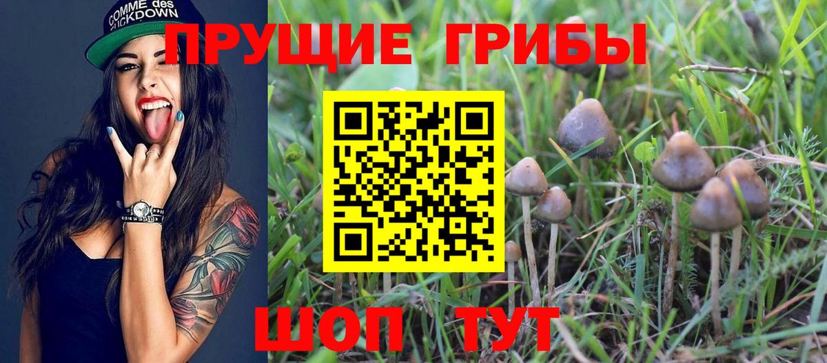 Иркутск  Псилоцибиновые грибы MAGIC MUSHROOMS  Вход с VPN 