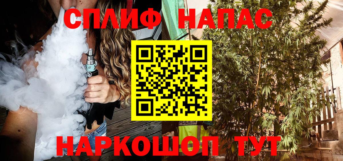 Конопля сатива Иркутск